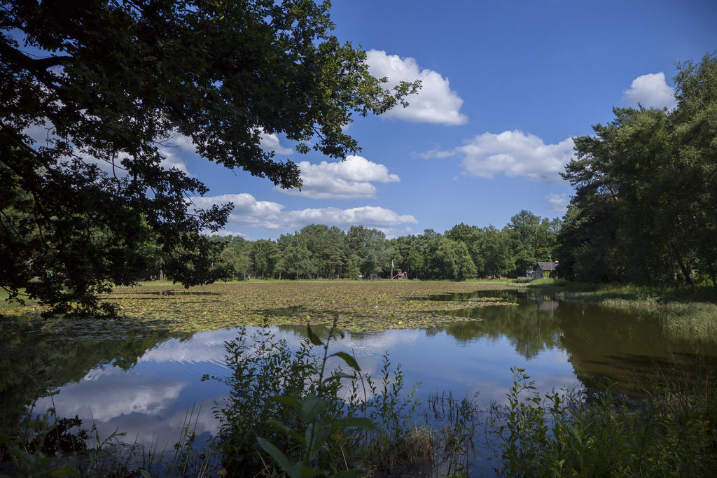 'T Vosseven Vakantiehuizen Stramproy Bagian luar foto