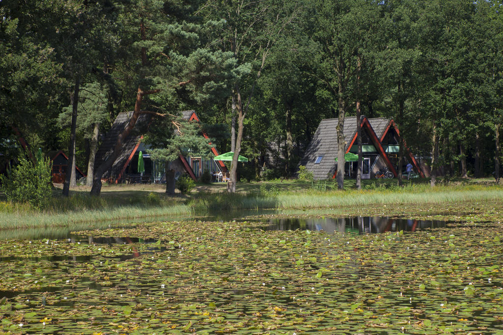 'T Vosseven Vakantiehuizen Stramproy Ruang foto